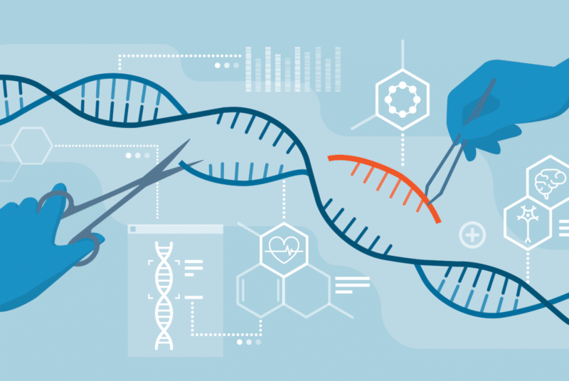 Human Genome Editing: Barrier to Human Rights